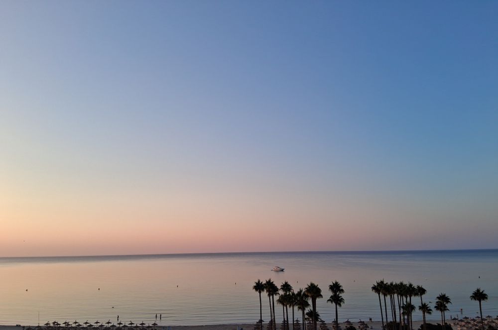 Meer, Palmen, Strand