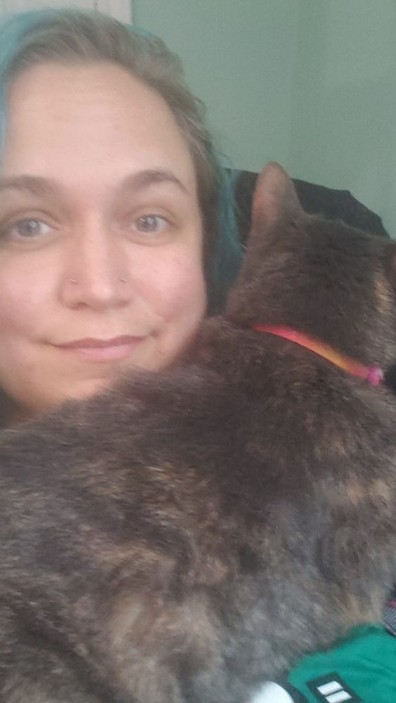 Odyssey makes a bemused face as a tortoiseshell cat with an orange collar makes herself at home on their chest