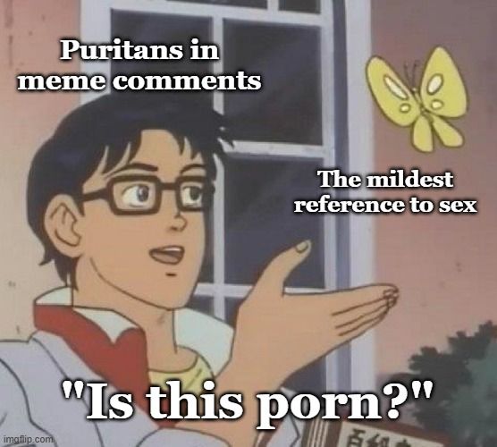 "Is this a pigeon" meme format:

"Puritans in meme comments" gesturing to "The mildest reference to sex" and saying "Is this porn?"
