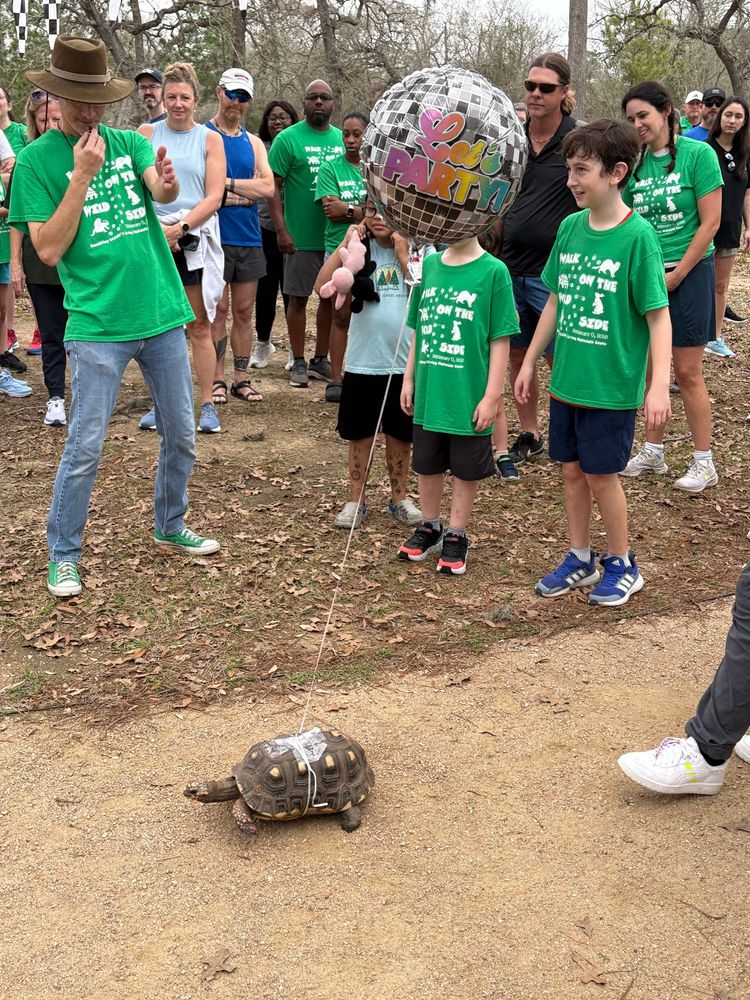 Turtle with balloon tied to his shell that reads “Let’s party”