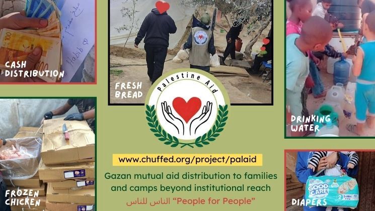 A fundraiser flier with a link 
www.chuffed.org/project/palaid