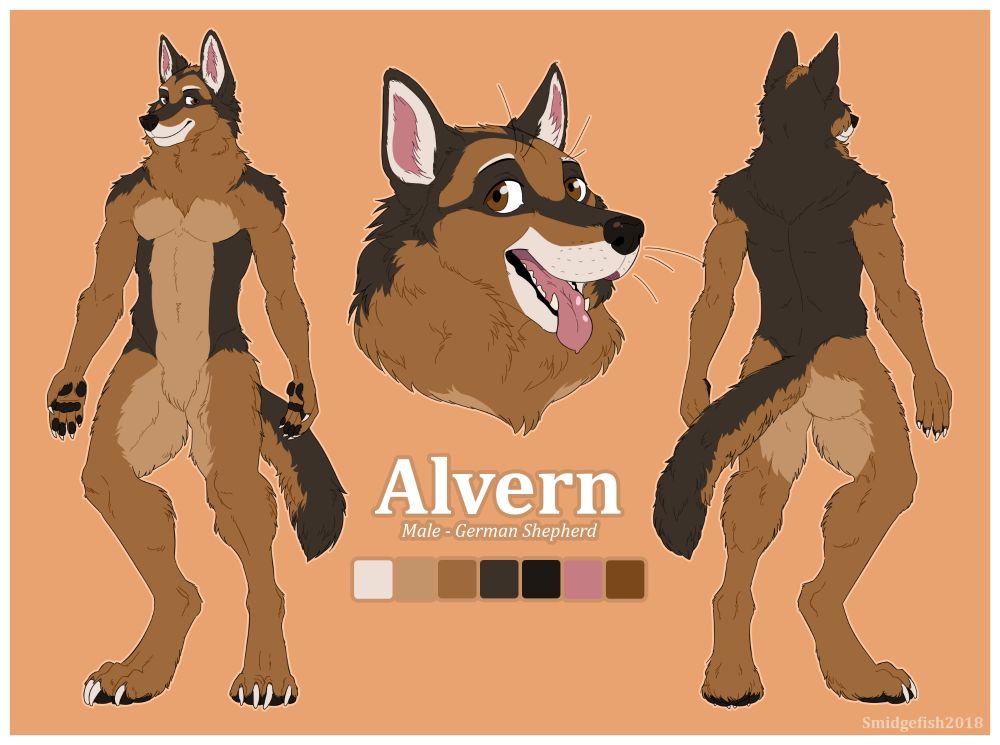 Reference sheet of a furry anthropomorphic masculine German shepherd
