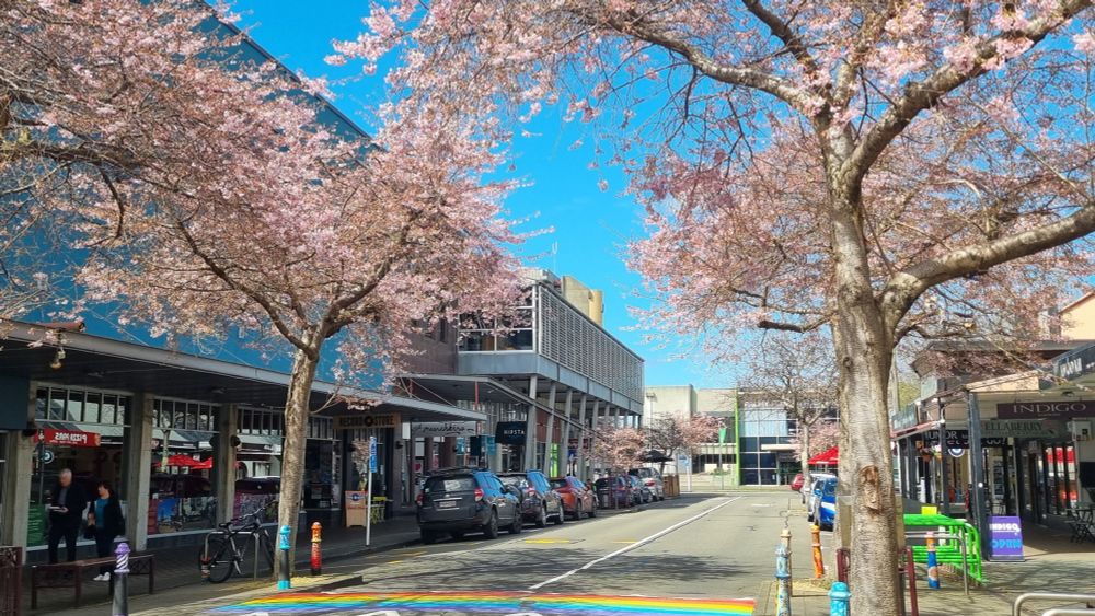 Crainn silíní faoi bhláth sna sráideanna 