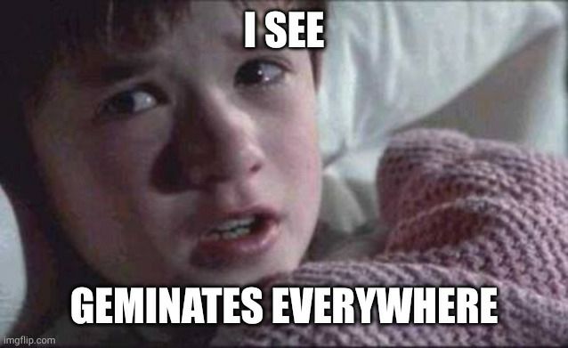 6th sense boy saying "I see geminates everywhere."