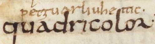 ‘petguarliuheitic’ gl. ‘quadricolor’ in Angers 477B f.15b