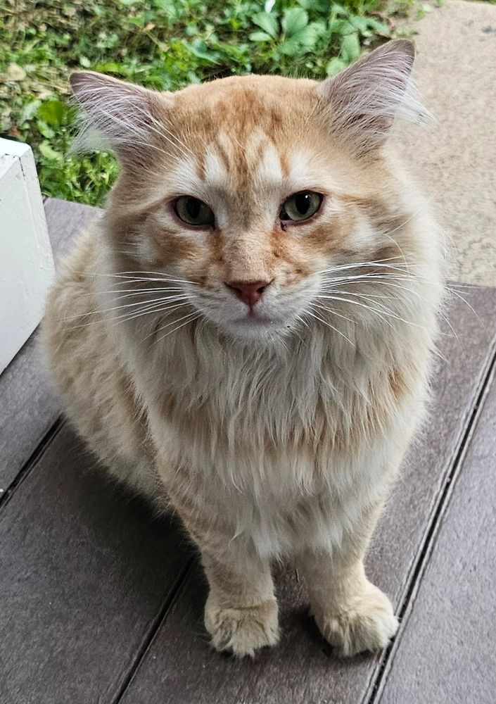 Leo being his gorgeous self.