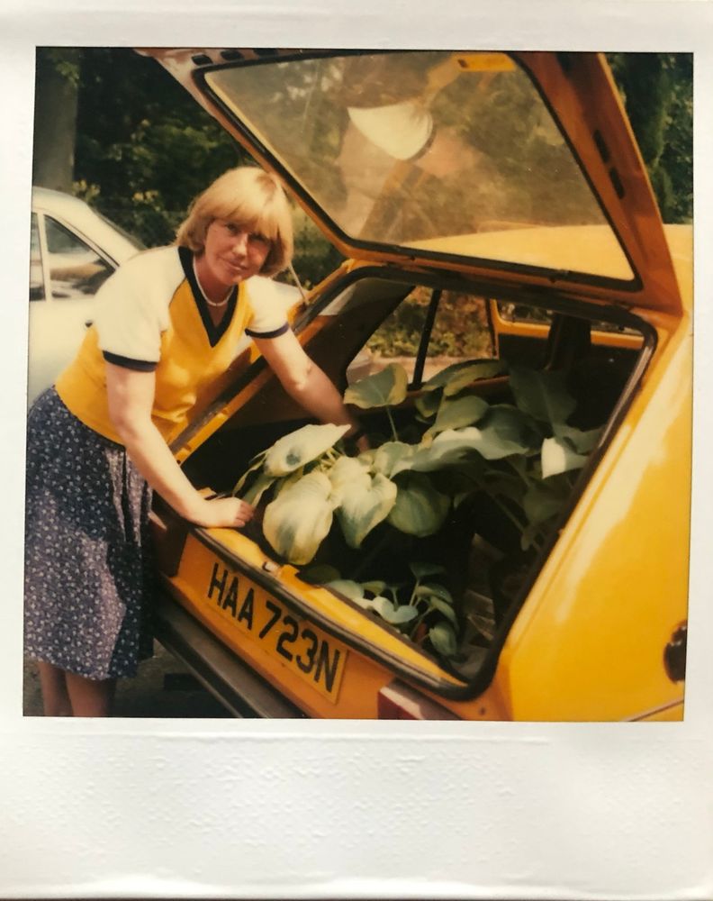 A Polaroid photo from the 1970’s of my Mum wearing an orange jumper, loading hostas into the boot of an orange VW Golf 
