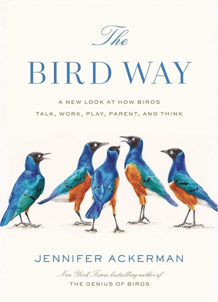 Book cover for "The Bird Way: A New Look at How Birds Talk, Work, Play, Parent, and Think" by Jennifer Ackerman at https://www.jenniferackermanauthor.com/the-bird-way
