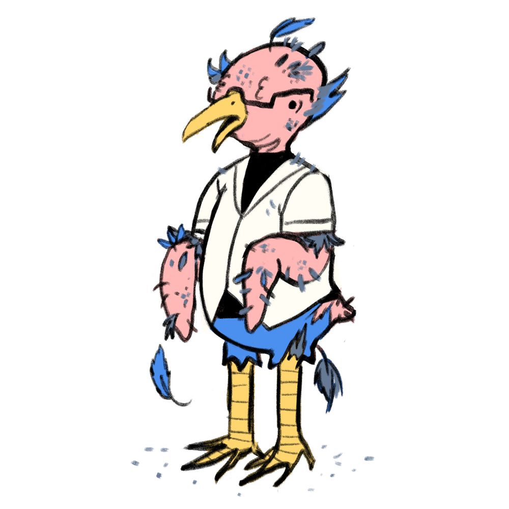 Berdly molting/balding