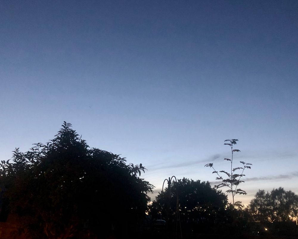 Dusk sky with a few trees in the foreground 