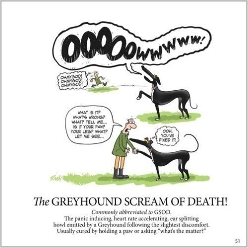 Richard Skipworth cartoon showing a man running to the aid of a screaming greyhound thinking it must be at death's door. Only to find it was nothing.