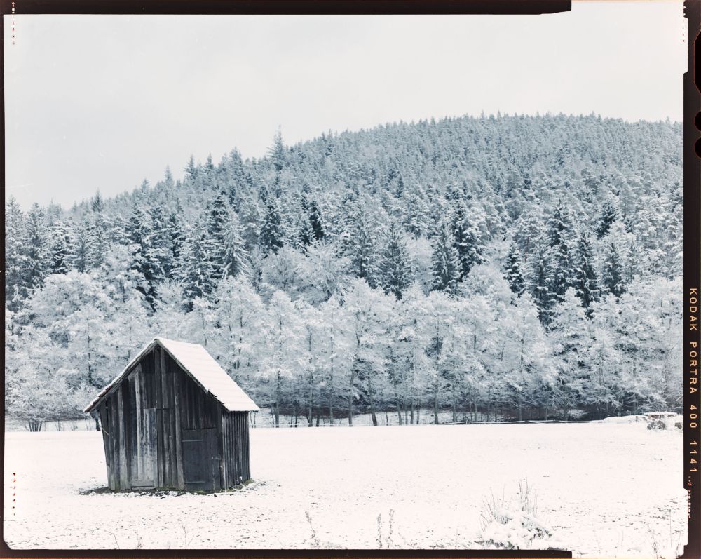 Image shows a winter scene in the Black Forest in Germany. In the background is a forest on a hill which is snow covered. In the foreground is a small wooden hut which is typical for this region. The hut is placed on the left side of the image. The flat ground is also covered with snow. 