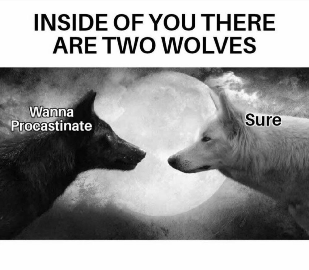 A black wolf and white wolf face each other with text that says, “INSIDE OF YOU THERE ARE TWO WOLVES——-“ over the black wolf, it says “Wanna Procastinate?” And over the white wolf, it says “Sure”.