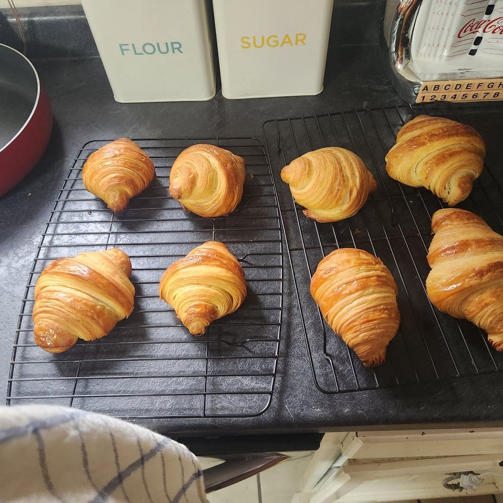 First croissant attempt. My puffy boi's