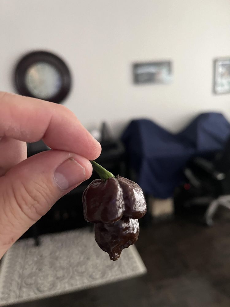 What pepper is this.