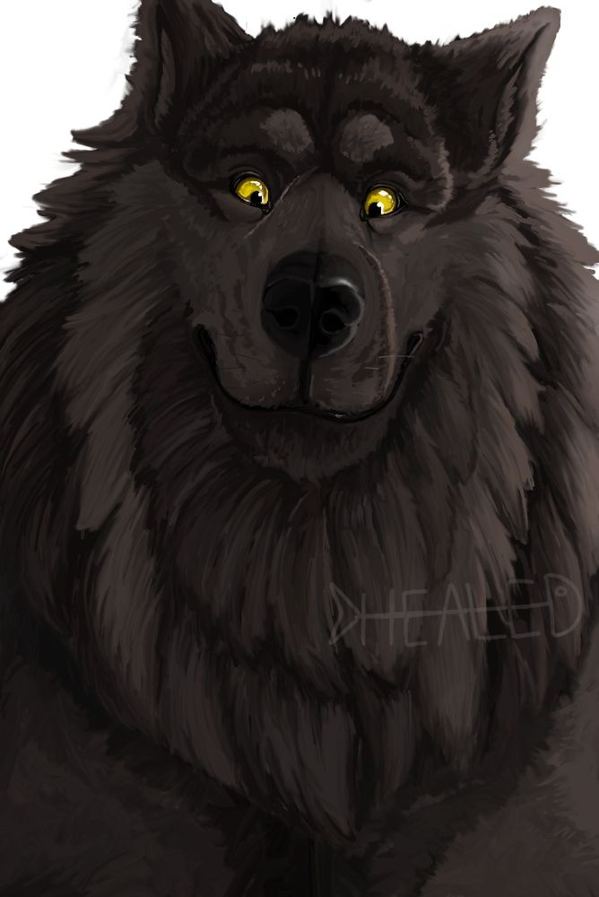 Normen art.