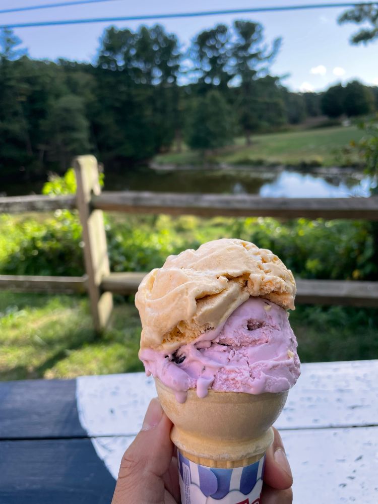 Two scoops of ice cream in a cone. The background is a pond on a farm surrounded by tall pine trees 