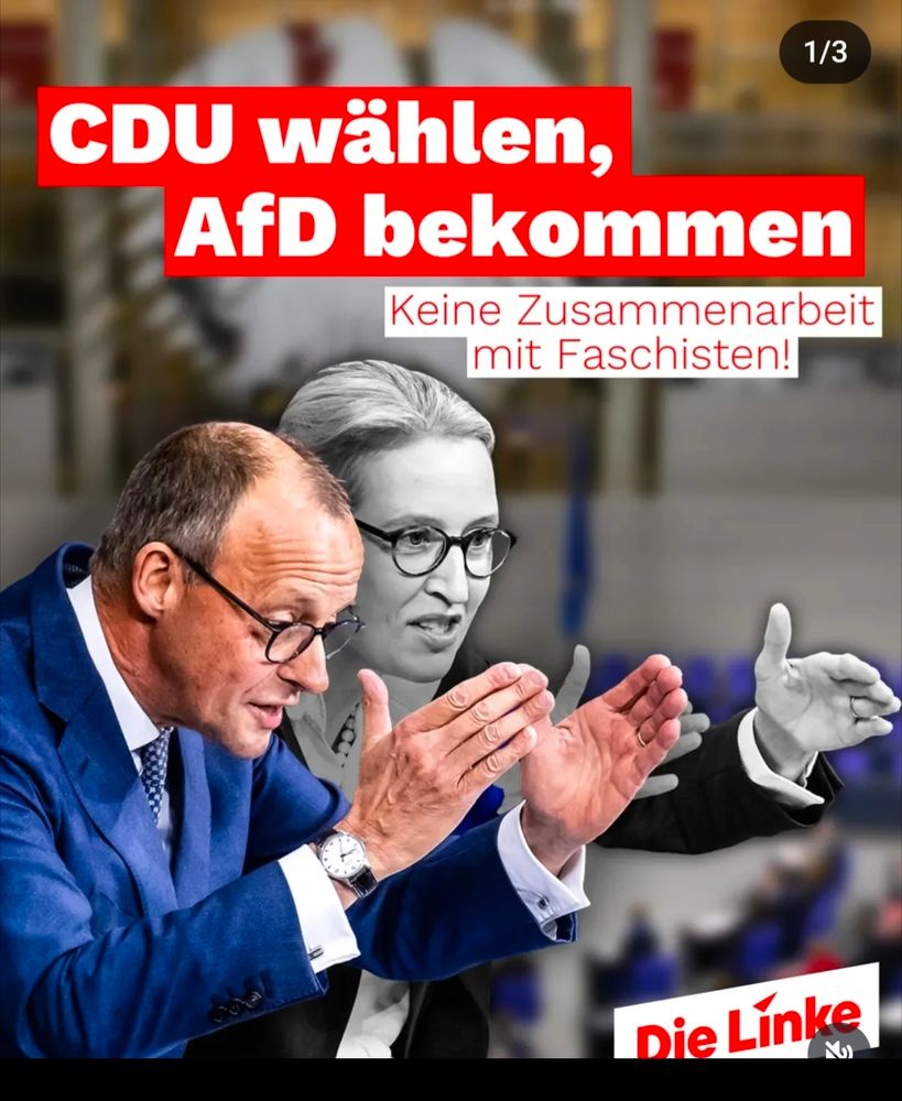 CDU/AFD