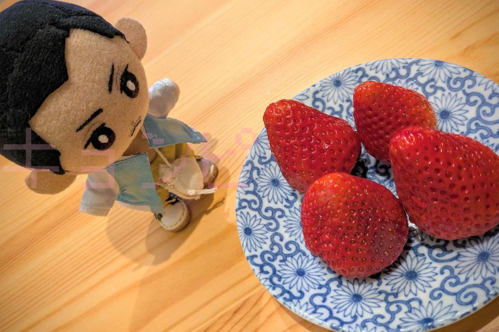 自作の洛軍ぬいがいちごを見ている