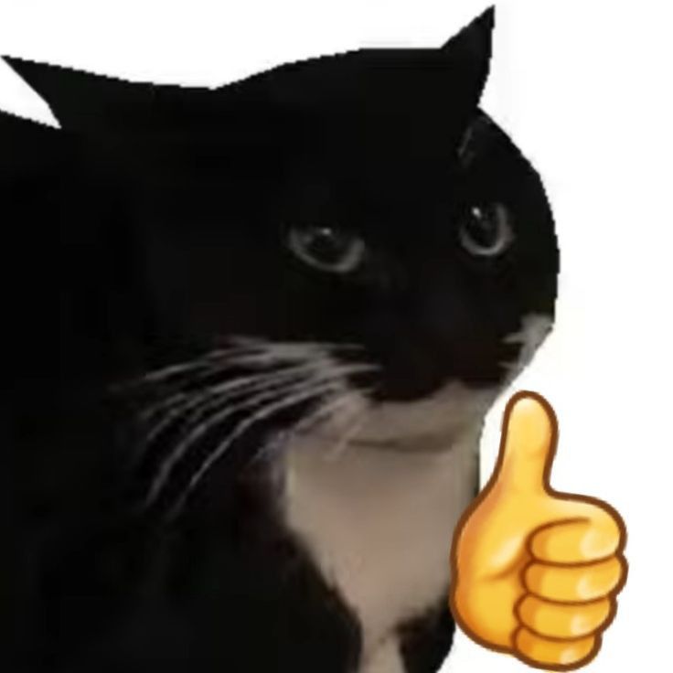Comment image