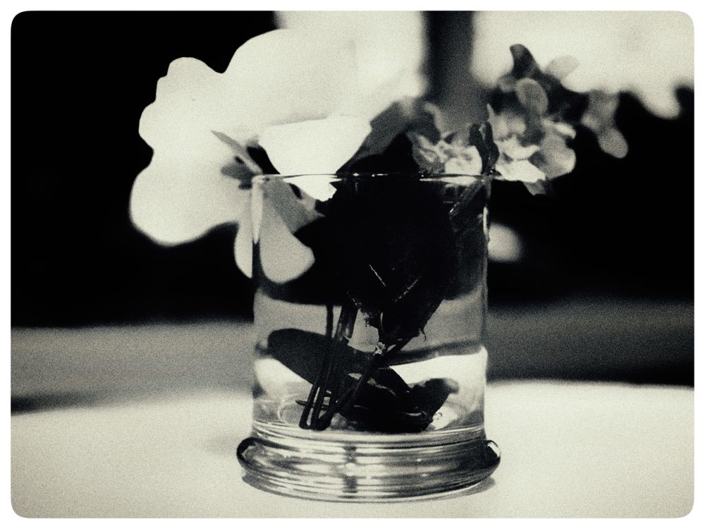 Flowers in a small vase in vintage black and white style.