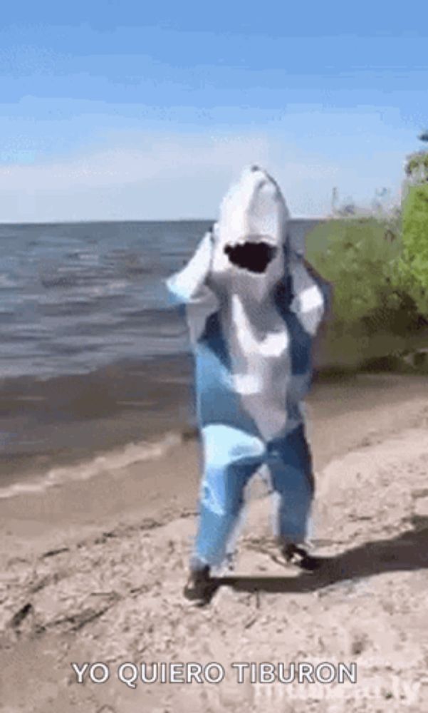 a person in a shark costume is standing on the beach .