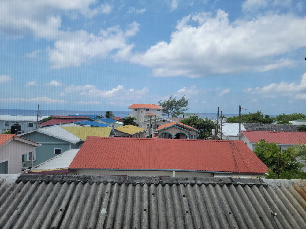My favorite view. The rooftops 