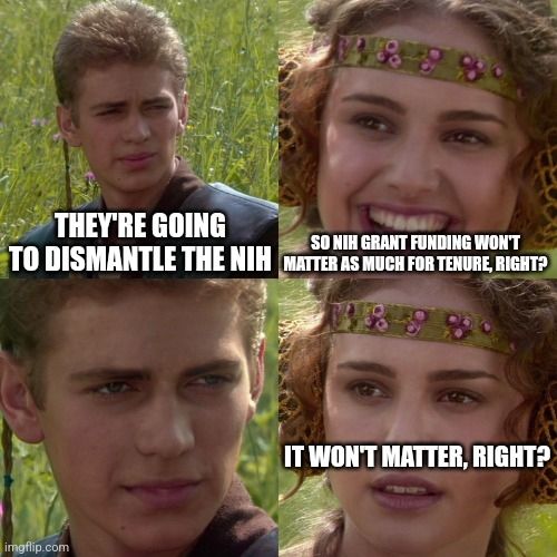 Four panel Star Wars meme of Anakin and Padme in the grass. Anakin looking to his left at Padme. Starts off with Padme smiling but ends with her looking crestfallen