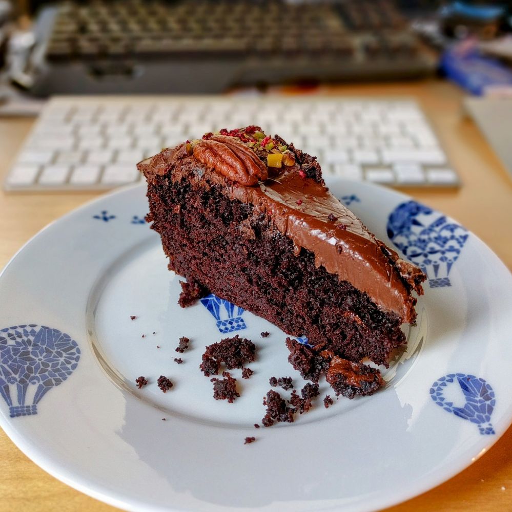 A yummy piece of moist chocolate cake