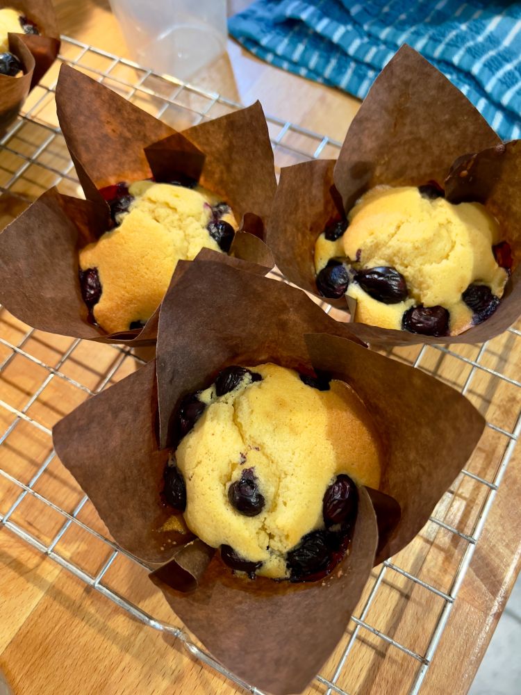 Three home-baked blueberry muffins, fresh from the oven, on a cooling rack. 