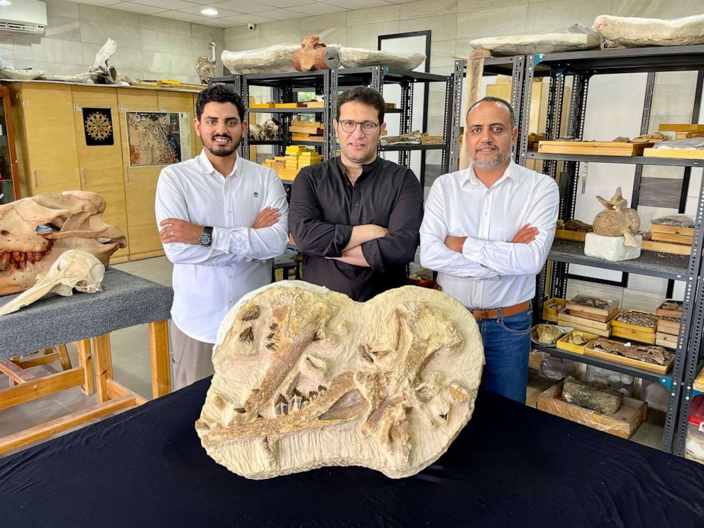 Paleontologists Abdullah Gohar, Mohamed Sameh, and Hesham Sallam (from left)