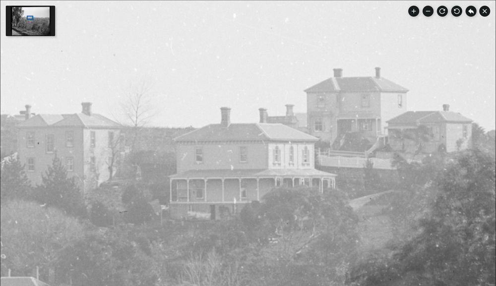 Detail of late 19th century photograph clearly showing four houses. The central one is Hazelbank.
Te Papa photography collection C.011160, https://collections.tepapa.govt.nz/object/23205