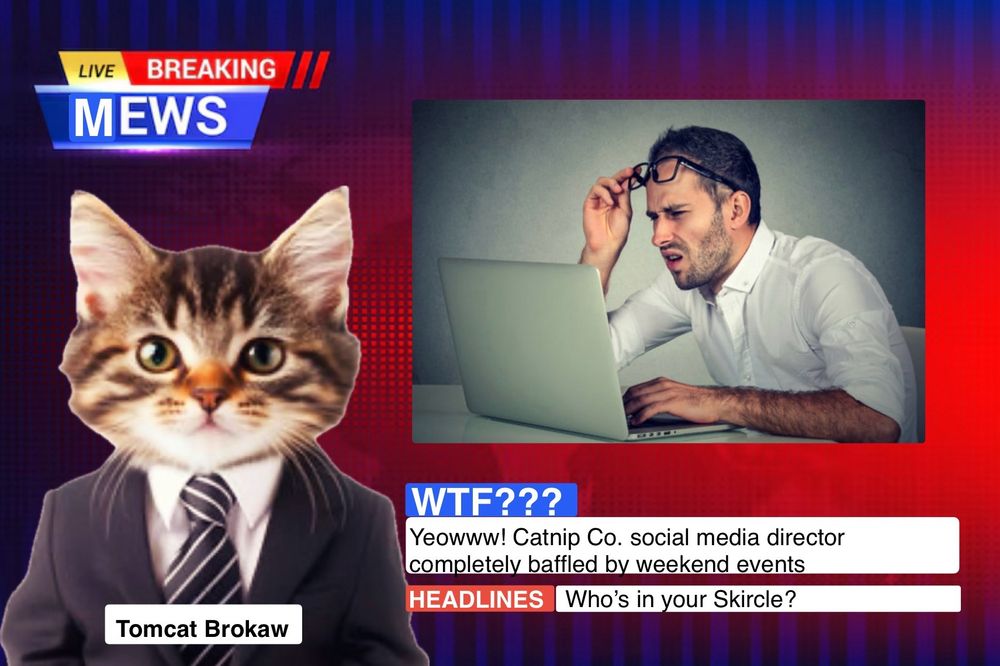 Photoshopped screen shot looks like a cable news broadcast with a cat named Tomcat Brokaw in a suit as the anchor. Includes photo of a man lifting his glasses and looking confusedly at a computer Headline reads “WTF??? Yeowww! Catnip Company social media director completely baffled by weekend events. Who’s in your Skircle?”