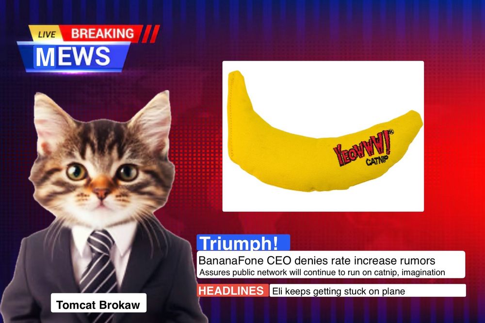 Photoshopped screen shot looks like a cable news broadcast with a cat named Tomcat Brokaw in a suit as the anchor. Includes photo of banana catnip toy. Headline reads “Triumph! Banana phone CEO denies rate increase rumors. Assures public network will continue to run on catnip, imagination. Eli keeps getting stuck on plane.”