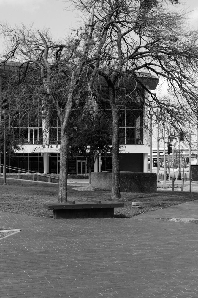 Black and white photo of a bench and a pair of trees in front of the Hobby Center in downtown Houston. 