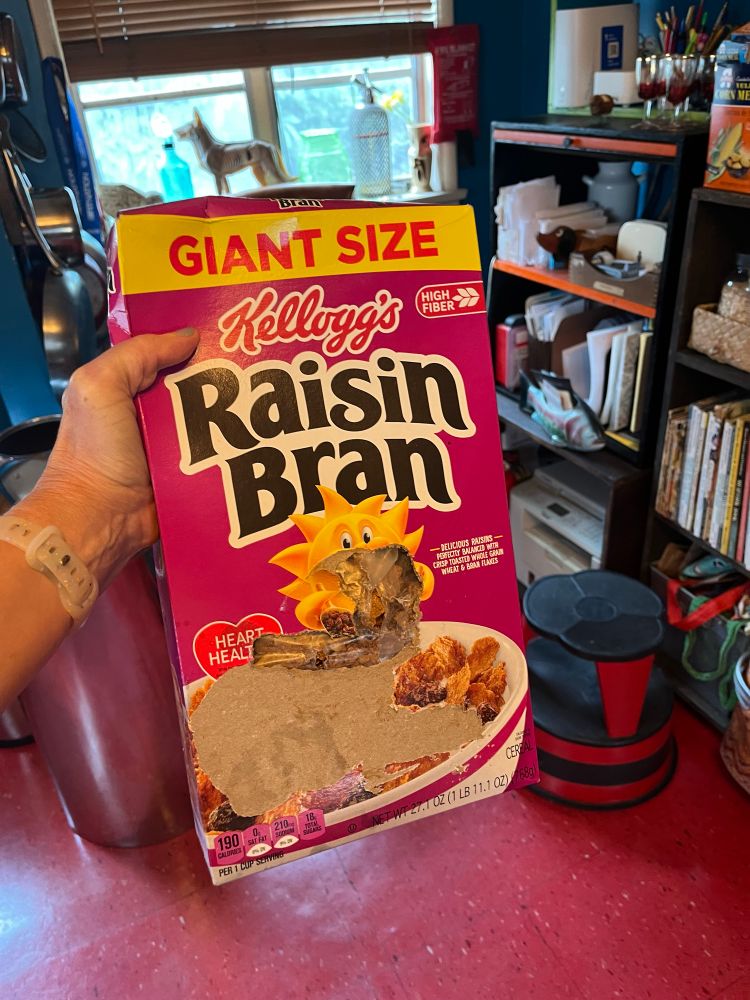 Person holding box of Raisin Bran (Giant Size) with hole chewed in the middle of the box where the cartoon sun is. Some additional cardboard has been ripped away from the front of the box. 