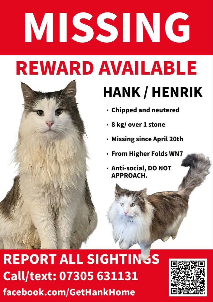 A missing poster showing a large grey and white cat. 