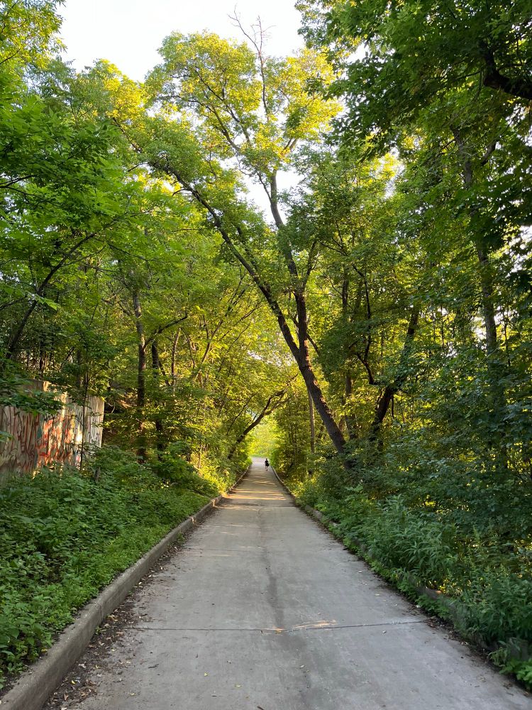 Nature is my psychiatrist. Walking down a tree lined cement path going toward the Mississippi River near Lake St in Minneapolis. 