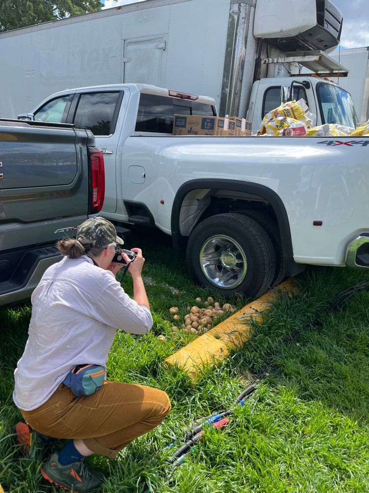 Photographer capturing a graphic scene of spilled potatoes next to the rear, dual tires of a white pick up truck