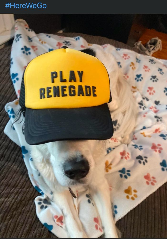 Steelers Renegade HERE WE GO
