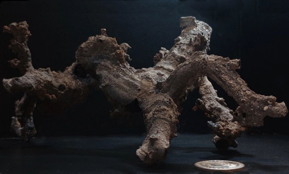 While hunting for fossils, the unexpected is sometimes discovered. These finds can range from pottery shards to this fulgurite, or "fossil lightning," formed when lightning strikes the ground.