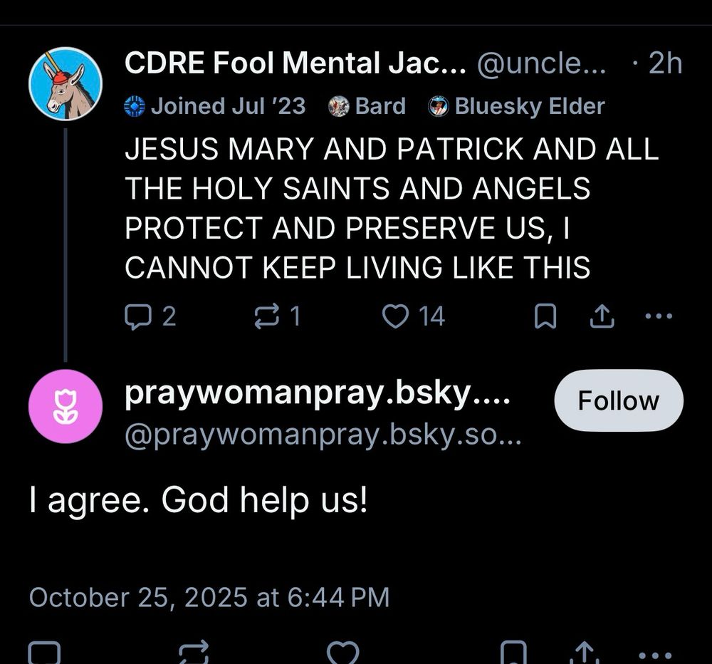 Me: “JESUS MARY AND PATRICK AND ALL THE HOLY SAINTS AND ANGELS
PROTECT AND PRESERVE US, I CANNOT KEEP LIVING LIKE THIS”

A BOT: “I agree. God help us!”
