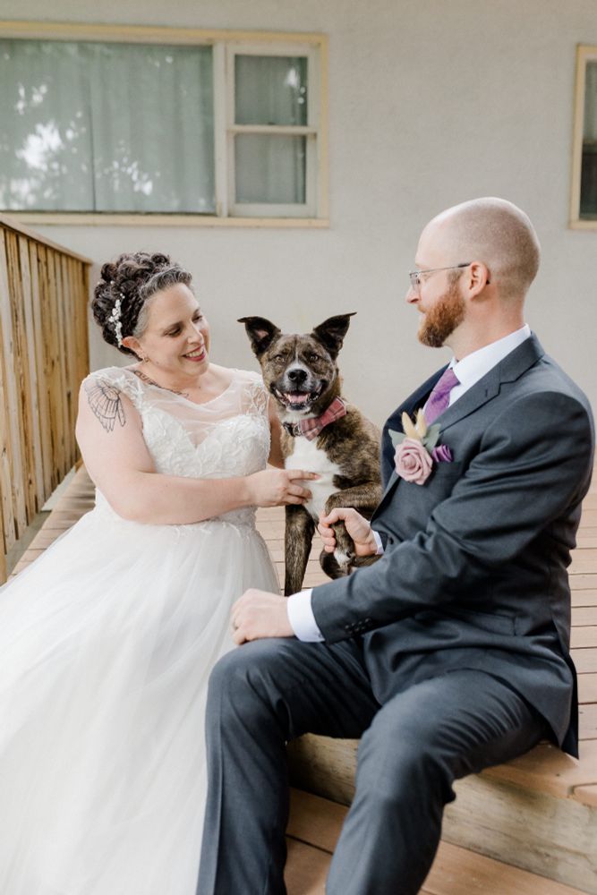 wightfyre and I in our wedding clothes sitting on porch steps laughing and looking at my dog Tycho in between. He has a pink bowtie on and is looking at the camera