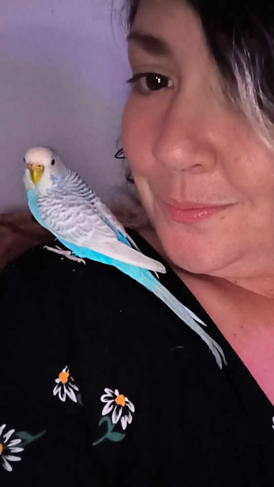 Purple parakeet on my shoulder, bird is the word!