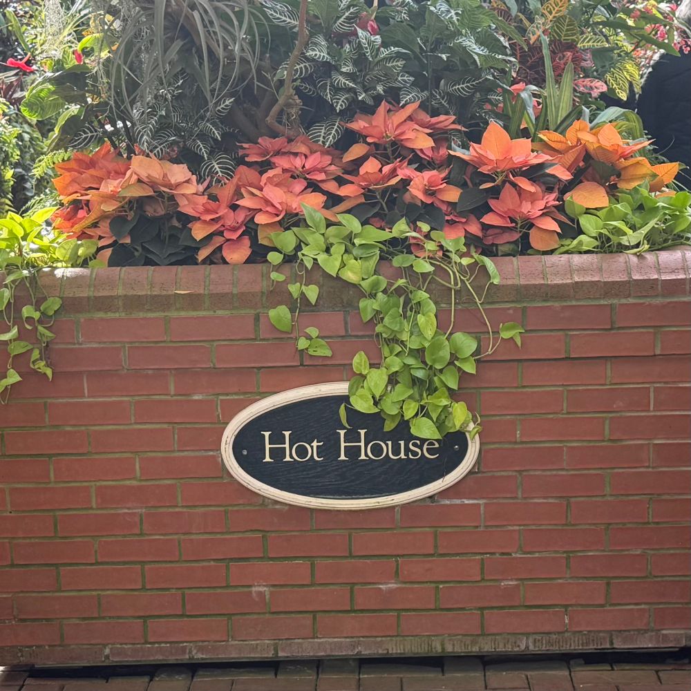 Image of a raised brick flowerbed containing tropical plants. A sign on the side of the bed says “Hot House”.