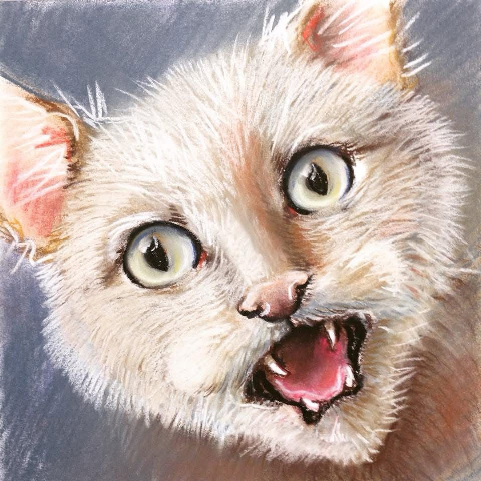 Pastellportrait einer flauschigen Katze mit weit geöffneten, glänzenden Augen und offenem Mäulchen, das vier gefährlich spitze Eckzähne zeigt.