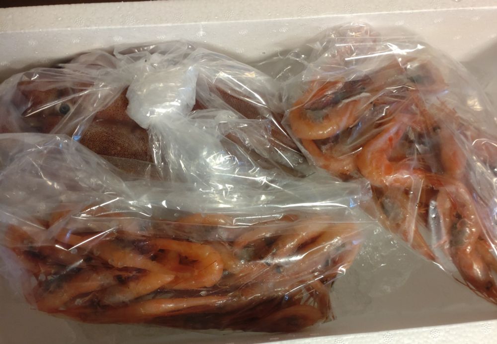 甘エビと白イカ
境港の甘エビはとろける甘さと舌触り