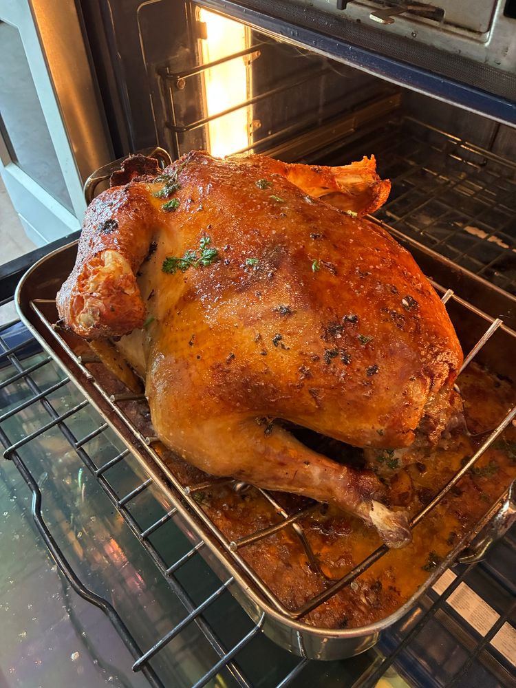 A turkey on Thanksgiving