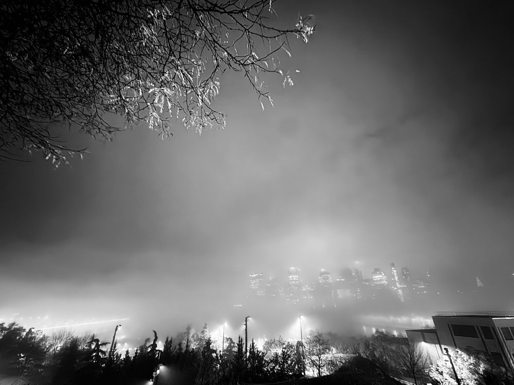 In the foreground: the branch of a tree, the silhouette of downtown Brooklyn. In the distance: NYC glowing ghost-like through the fog. 