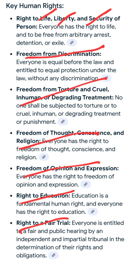 Key human rights listed then crossed off in red, including life, liberty, happiness, freed9m from. discrimination and torture and more